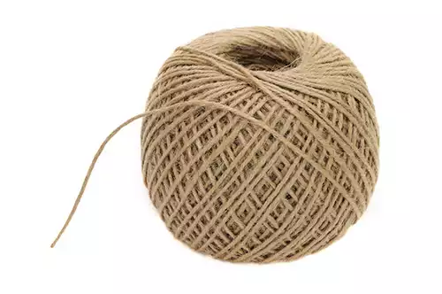 3 ראשי שום, חצויים אופקית