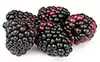 punnet blackberries