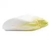 ראש בלגי גדול endive (אודות