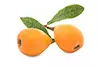 Loquat