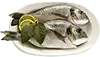 1-1 1/4 קילו שלם פורגי, סנאפר אפור, או branzino, ניקה