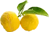 Citron