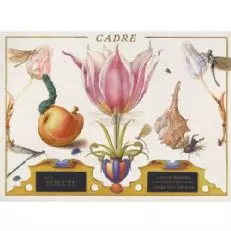 קאדר סטון בלוסום סוביניון בלאן