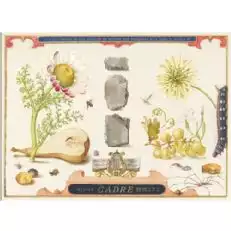 להקת קאדר של אבנים גרונר ולטלינר