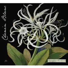 יינות בוטניקה Mary Delany Chenin Blanc