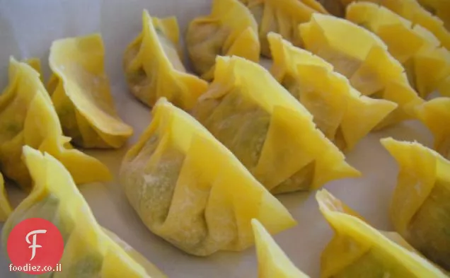 מבשלים את הספר: כופתאות Potsticker
