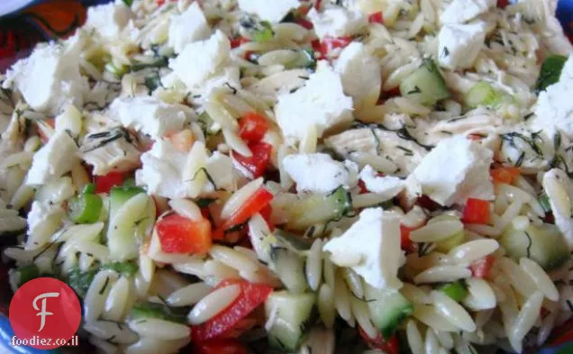 סלט לימון Orzo-Veggie עם עוף