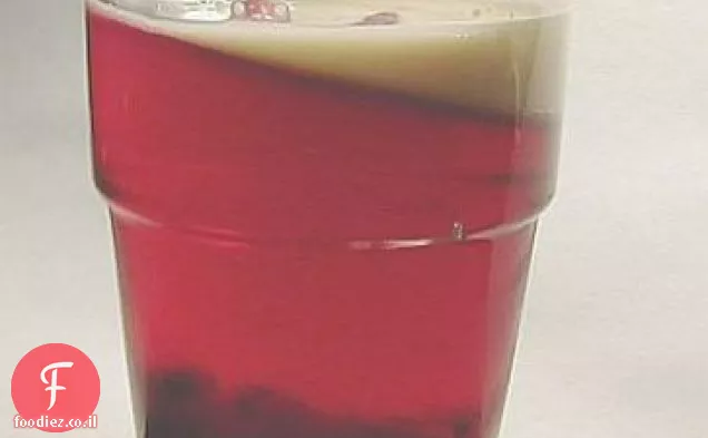 Hibiscus & Rose Hip אייס טי עם מיץ חמוציות