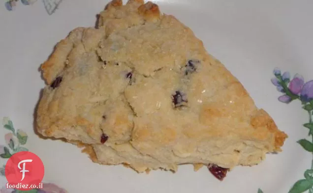 ביסקוויט שוקולד לבן Craisin