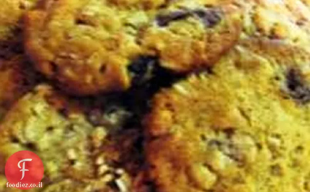 עוגיות שיבולת שועל חמוציות