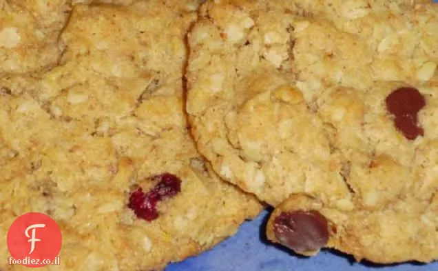 בריא אגוז אגוז (או שוקולד) אוכמניות שיבולת שועל עוגיות לעיסה