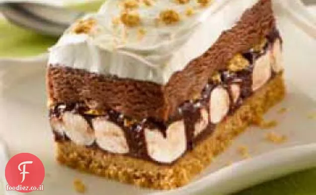 עוגת גלידה s ' mores