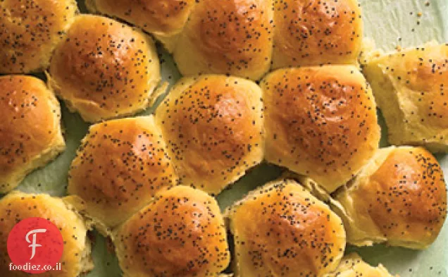 גלילי אור קלאסיים