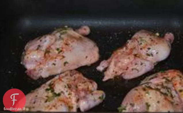 תרנגולות משחק קורניש עם מרינדה סיד דבש