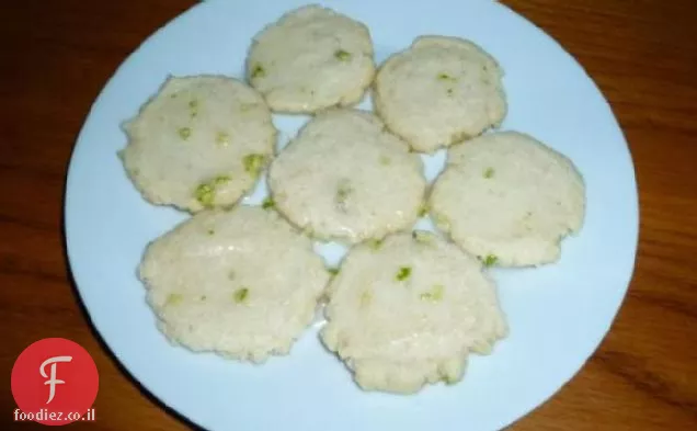 צידניות קי ליים