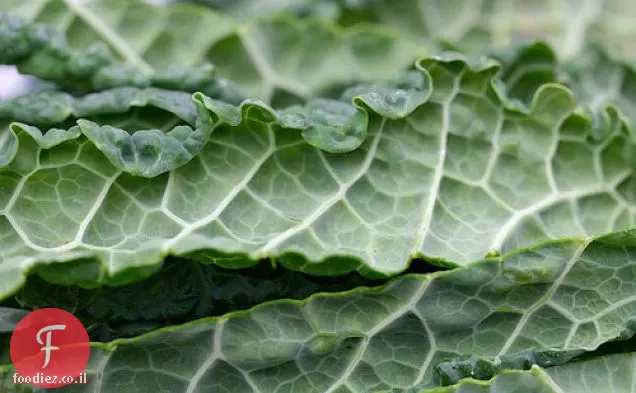 Kale: המפלצת הירוקה עלים