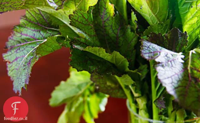 ירוק דרומי חדש