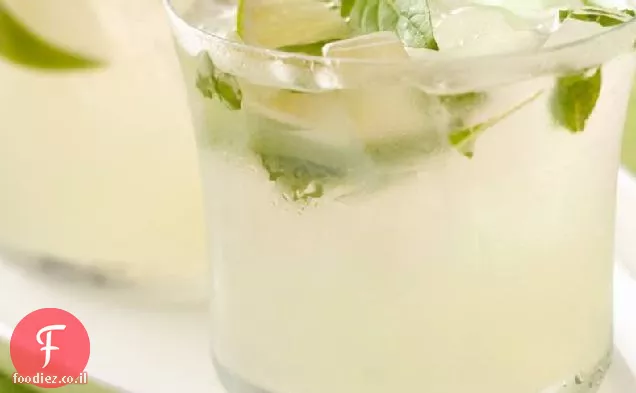 בזיליקום תאילנדי MOJITarita