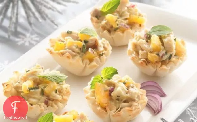 מנגו קארי ומתאבנים עוף