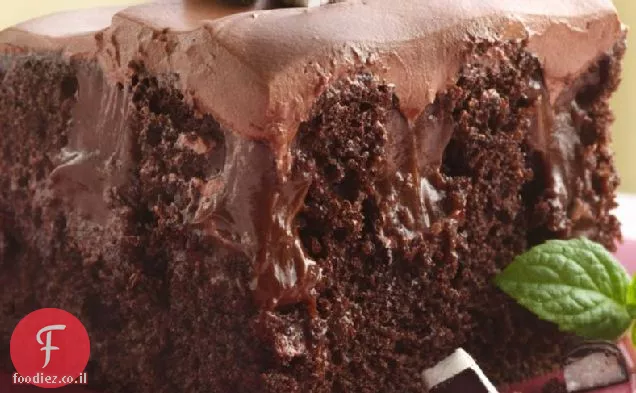 עוגת שוקולד מנטה פוק