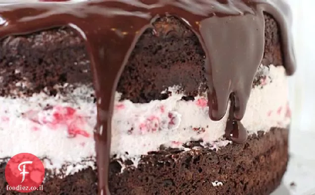 עוגת קרם שוקולד-פטל