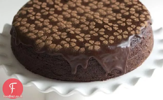 שוקולד מודרני-עוגת פטל