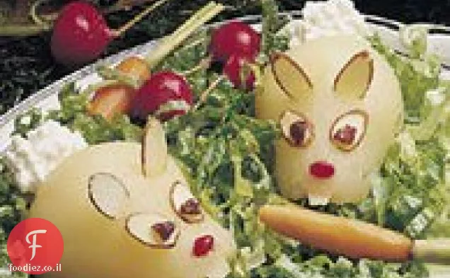 סלט ארנב מחוץ לכובע