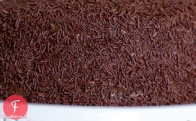 עוגת בית נמלים עם ציפוי מסקרפונה שוקולד
