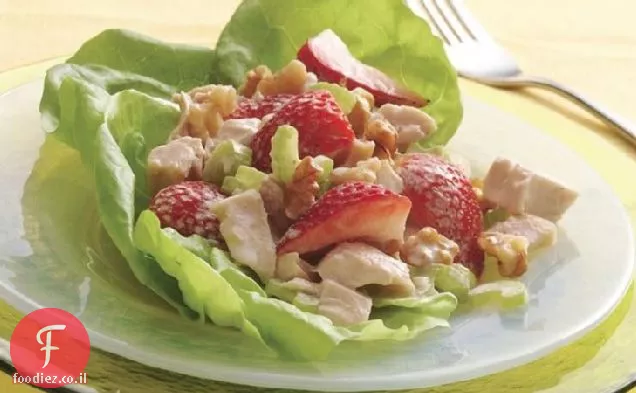 סלט אגוזים - עוף