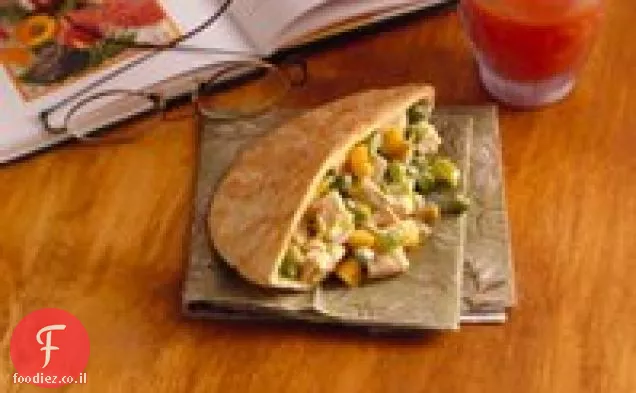 סלט עוף בפיטס