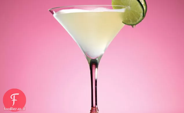 Gimlet אשכוליות
