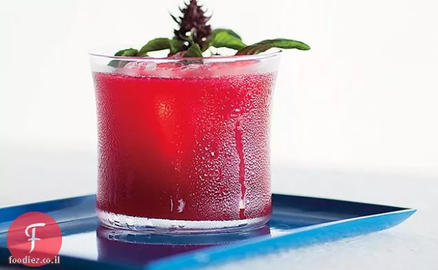 Blackberry-Gin Fizz