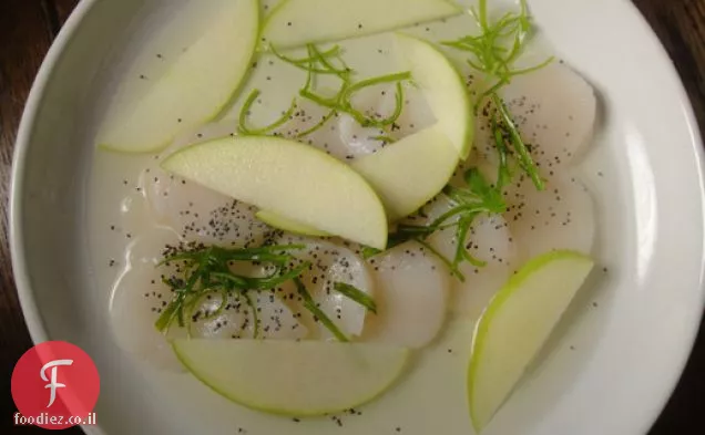 מבשלים את הספר: צדפות גולמיות עם תפוח ירוק ודשי