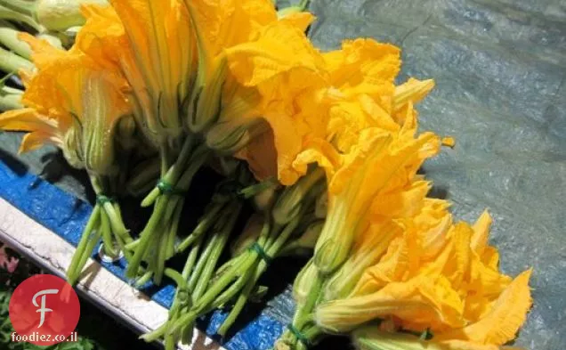 צרפתית בהבזק: טליאטלה עם קישואים פרח פיסטו