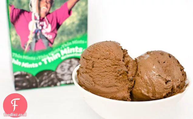 גלידת מנטה דקה שוקולד