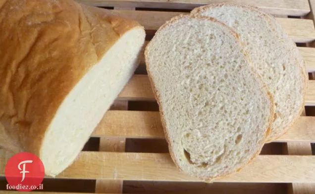 אפיית לחם: לחם בסגנון איטלקי עם חיטה מלאה