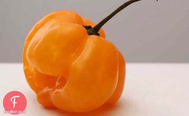 Habanero-הודו צלוי בריח