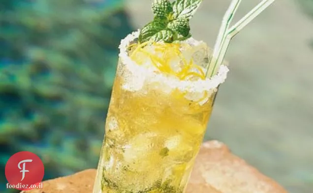 קלאסי Julep מנטה