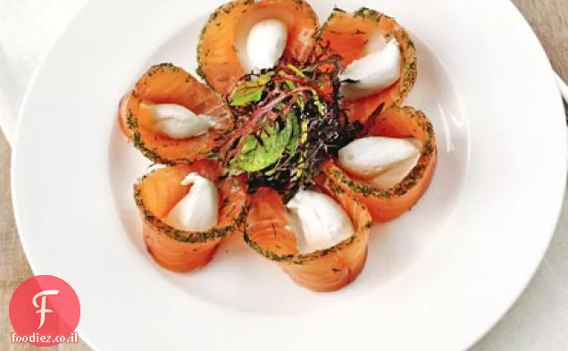 גרבדלקס סלמון נרפא ע