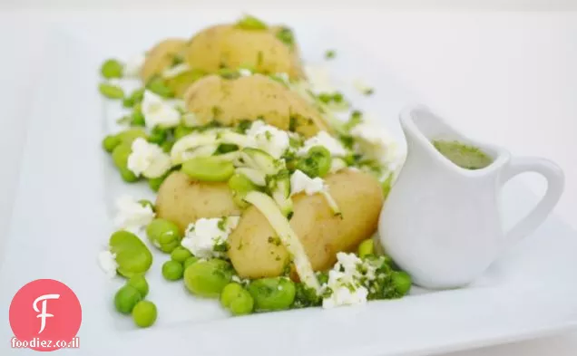 סלט שרלוט ירוק