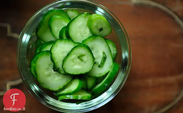 מלפפון מהיר מלפפון חמוץ Shiso