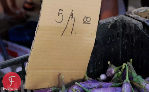 לזניה חצילים ופרושוטו