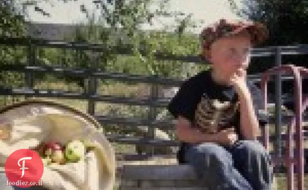 מסיבת קטיף תפוחים Qn & פיקניק