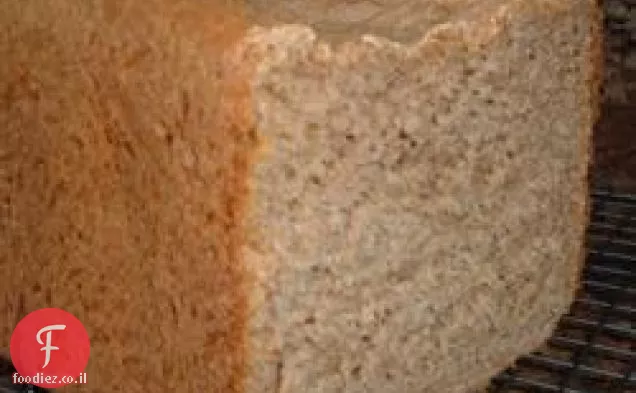 החיטה המלאה של סטיב