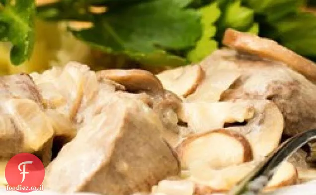 פיתיון החבר בשר בקר סטרוגנוף