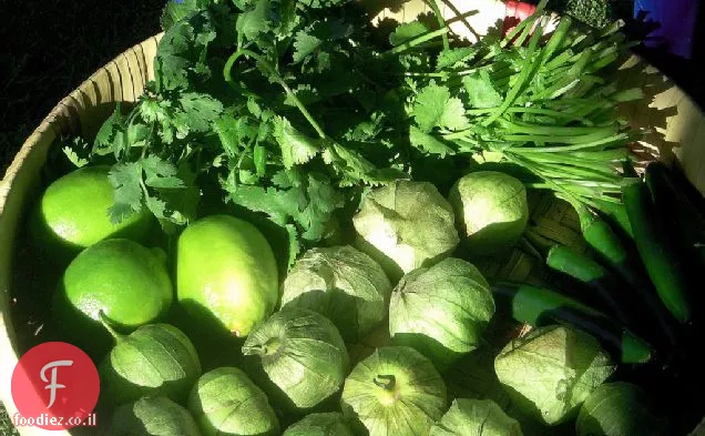 קלוי Tomatillo צ'ילה מתכון סלסה