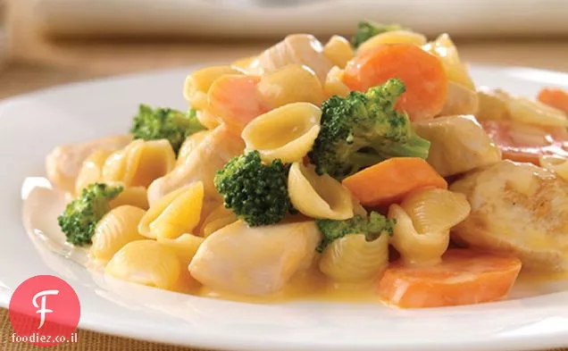 מחבת עוף גבינה VELVEETA