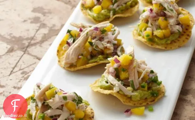 מיני עוף ומנגו Tostadas