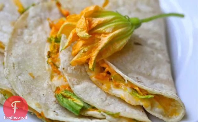 Quesadilla פריחת סקווש