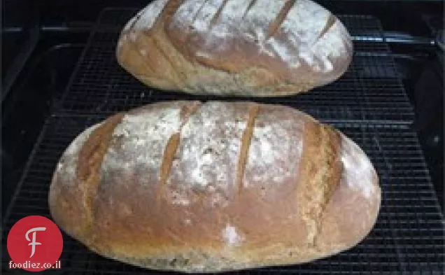 לחם גרמני אותנטי (Bauernbrot)